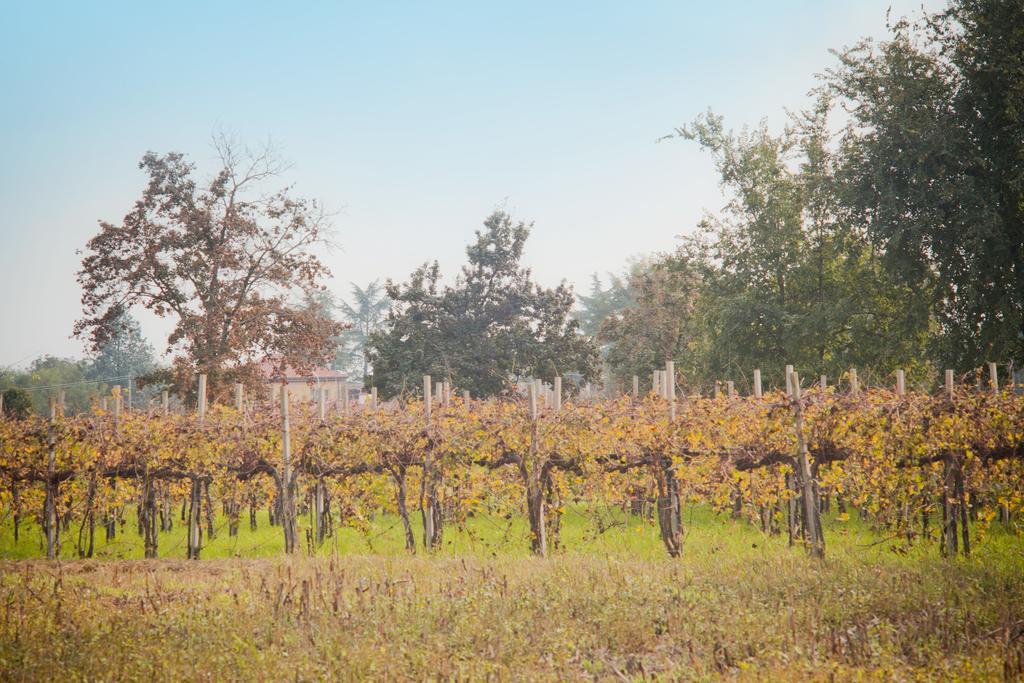 Agriturismo Pituello Talmassons Екстериор снимка